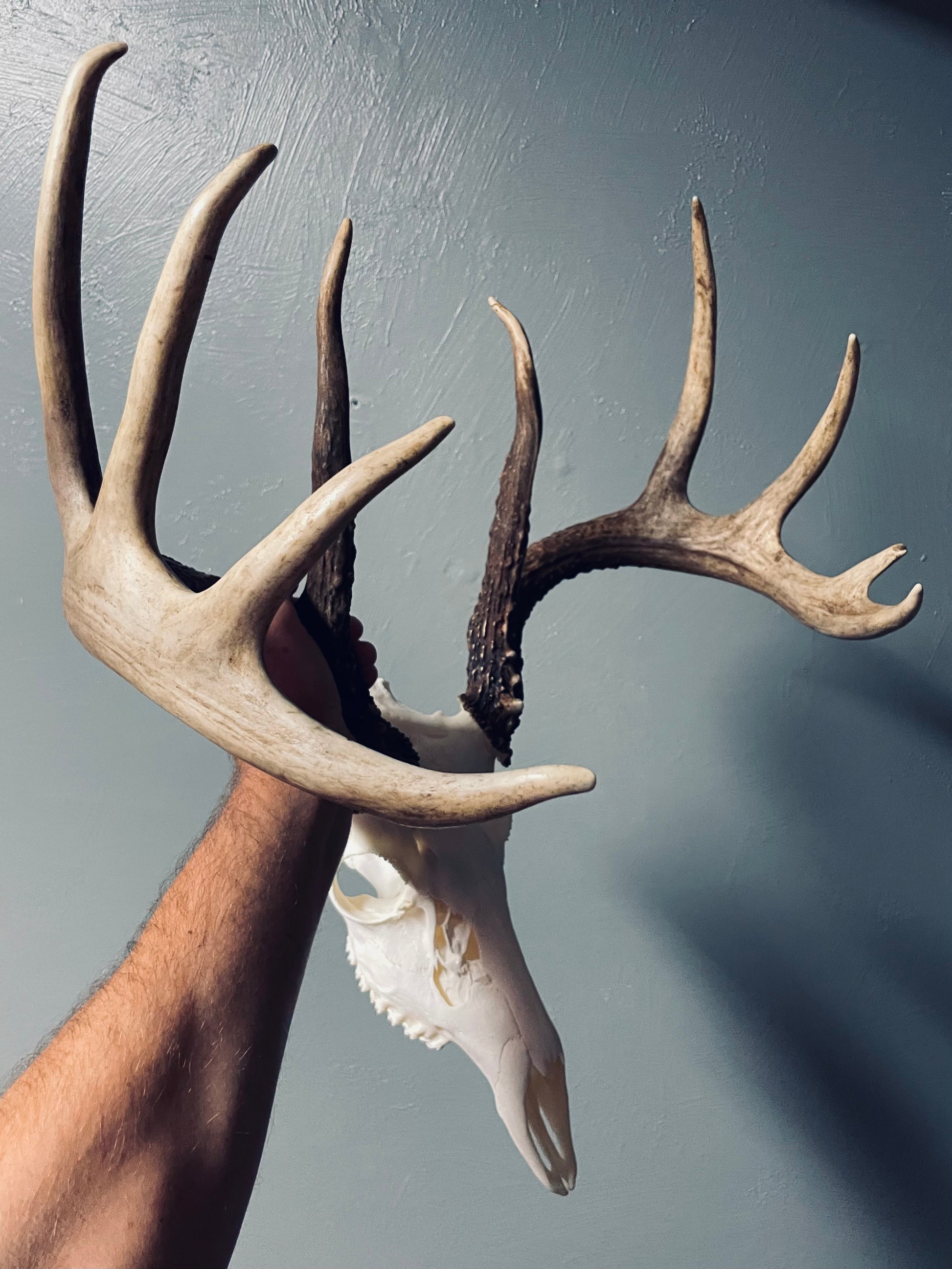Just get a clear, in focus, well lit photo of your buck.  Our team will make you the best My Buck Brand shirt this side the Mississippi.